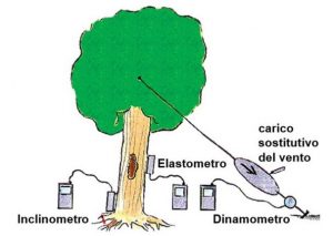 Immagine: Lobis et al., 2002, Sherwood, 78: 41-46