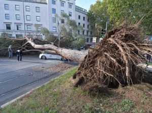 Alberi caduti Roma Foto Corriere della Sera