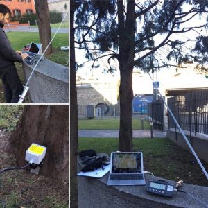 Pulling test - analisi - Gestire il Verde