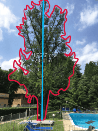 Pulling Test Gestire il verde - estensione chioma