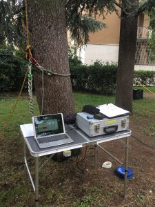 Pulling Test - Gestireilverde.it Perito Agrario Federico Simone